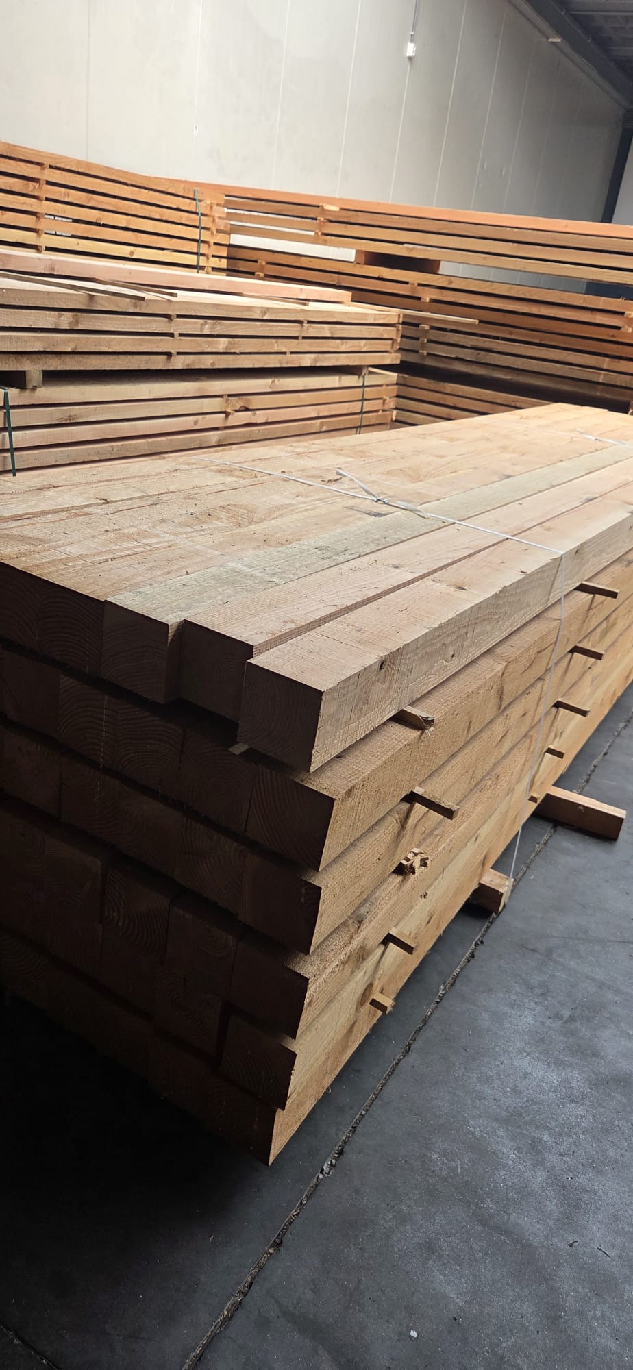 12x12 palen